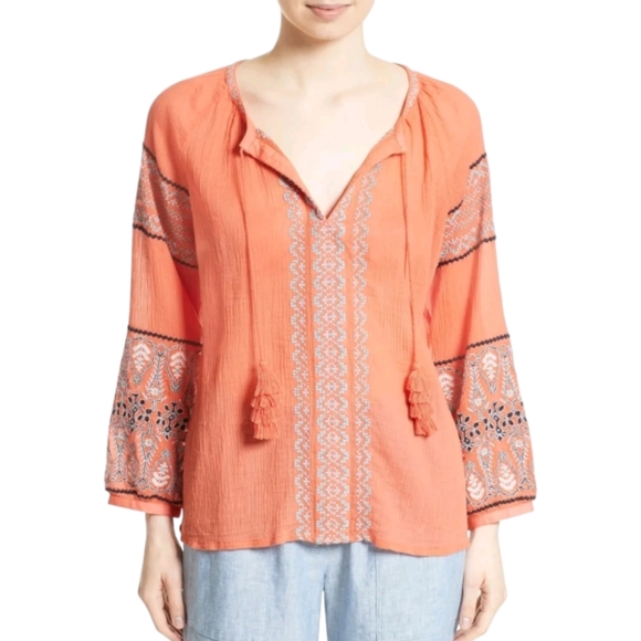Joie Nelida Embroidered Gauzey-Cotton Tunic Blouse, Blood Orange - Large - Picture 3 of 9